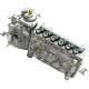 Fuel Injection Pump 3938372 For Cummins 6D114 6CT8.3 Engine