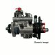 Delphi CAV Lucas DP201 Injection Pump fits John Deere Engine  8920A232W