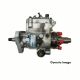 Stanadyne Injection Pump fits Caterpillar Perkins 6.60 Engine DB4627-5081