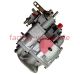 New 4951501 3019487 3080571 Fuel Injection Pump For Cummins NT855 Diesel Engine