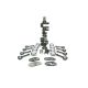 Scat Rotating Assembly Chrysler 426-541 H-Beam 1-48067BI)