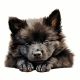 2X Cute Sleeping Dog Car Sticker Dog Sticker