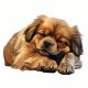 2X Cute Sleeping Dog Car Sticker Dog Sticker