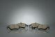 NEW AUDI R8 4S FRONT BRAKE PADS 4S0698151L