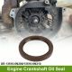 1 Pcs Crankshaft Oil Seal for Nissan Cube Juke Sentra Versa No.13510-6N200