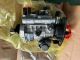 Diesel Fuel Injection Pump 8923A080G For DELPHI DP200 Perkins JCB 214 Engine