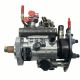 Original For Delphi DP310 Fuel Injection Pump Fits Perkins Engine 9520A180H