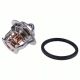 71CC Thermostat 25-39236-01 for Carrier Vector Supra 1250 1150 Engine CT 369 491