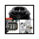 Air Conditioner AC Compressor with Clutch | Compatible with Lexus GS300 3.0L 2006, GS350 3.5L 2007-2011, IS250 2.5L 2011-2013, IS350 3.5L 2006-2013