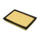 air-filter-17801-0V030-1