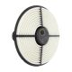 air-filter-17801-10030-1