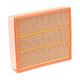 air-filter-2D0129620B-1