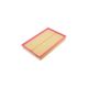 air-filter-C36188-1