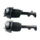 air-suspension-shock-2123203138-0