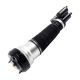 air-suspension-shock-2203202138-0