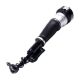 air-suspension-shock-2213201738-0