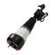 air-suspension-shock-2213201838-0