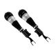 air-suspension-shock-2223208113-0