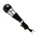 air-suspension-shock-2223208213-0