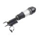 air-suspension-shock-A2113206013-0