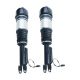 air-suspension-shock-A2113206113-0