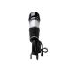 air-suspension-shock-A2113209313-0