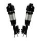 air-suspension-shock-A2113209413-0