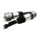 air-suspension-shock-A2133201303-0
