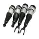 air-suspension-shock-C2C25696-0