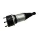 air-suspension-shock-C2D11404-0