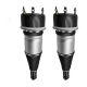 air-suspension-shock-C2D18898-0