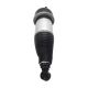air-suspension-shock-C2D31982-0