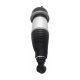 air-suspension-shock-C2D33845-0