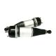 air-suspension-shock-C2D33847-0