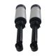 air-suspension-shock-RNB501460-0