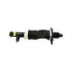 Vika 66160001201 Air Suspension Strut for Audi