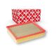 101660 Air Filter