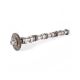 Outlet Exhaust Camshaft AUDI Q5 A4 A5 A6 A8 2.0T #06H109022BD#