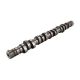 camshafts-24100-22012-0