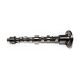 camshafts-31415264-1
