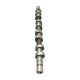 camshafts-7700108609-1