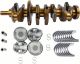 Crankshaft & Main Rod Bearings & Pistons For Toyota Corolla Rav4 Scion