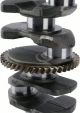 Crankshaft 13401-28030 For 2003 2004 2005 2006 2007 2008 2009 Toyota