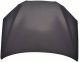 2010-2012 Hyundai Genesis Coupe Hood HY1230145