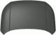 Replace 2022 Hyundai Venue Hood Panel HY1230182C