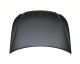 2011-2012 Hyundai Equus Hood HY1230151