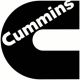 Cummins Adjusting Link - 3201188