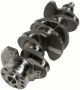 Darupsun 2014-2020 Hyundai Creta (GS) 2.0L Crankshaft 623V6-2EH00