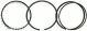 Total Seal Cs8264-5 Classic Steel AP 3.551