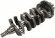 GM Genuine Parts Engine Crankshaft 55569765